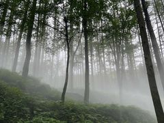 -洛阳白云山景区