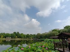 -裕华世纪公园