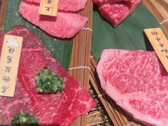 -老乾杯(深圳湾万象城店)