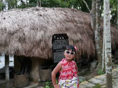 -海南槟榔谷黎苗文化旅游区