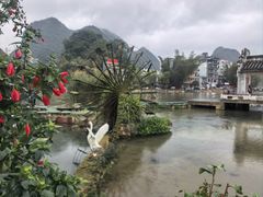 -靖西鹅泉风景区