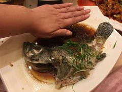 -爱晚亭(大东海广场店)