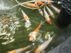 -裕丰源滋补烩面(天赋路店)