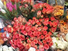 -循礼门鲜花花市(武汉循礼门店)