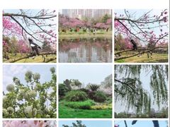 -堤角公园