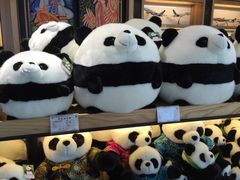 -丽江三义国际机场