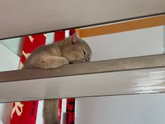 -泉乐坊步行街(烟酒特产平价超市店)