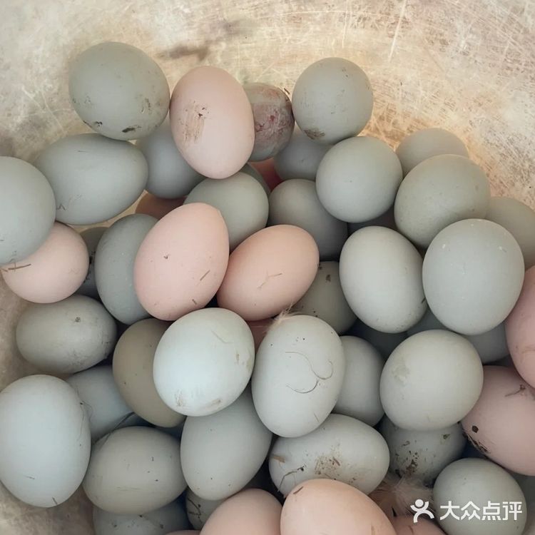 各种颜色的鸡蛋有什么区别？