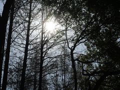 -采石矶景区