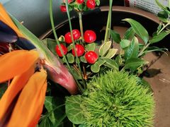 -旺顺阁·北京菜(北辰上品+)