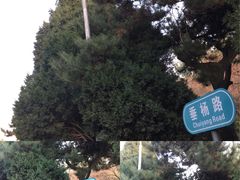 -辽宁大学(崇山校区)