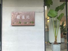 -猫里有甜