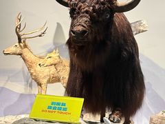 -中国湿地博物馆