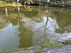 -杭州黄龙洞