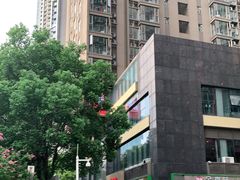 -山泉公馆酒家(珠江新城店)