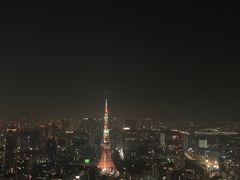 -六本木新城展望台(东京城市景观)
