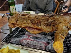 -柿子树炭烤羊腿(金台路店)