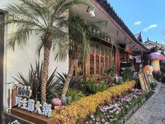 -菌自由丨野生菌火锅特色庭院餐厅(丽江古城店)