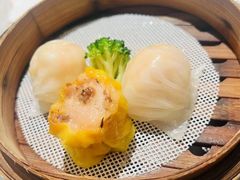 -南海渔村(珠江新城店)