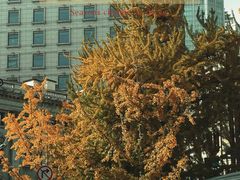 -心乐生活新鲜屋(星海广场店)