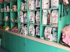 -中农大我爱我爱24h动物医院·中医针灸·猫专科·骨科医疗中心(双井店)