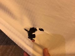 -舟山希尔顿酒店