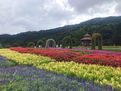 -广州市石门国家森林公园