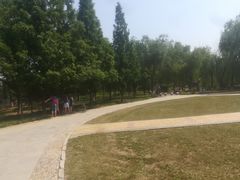 -石家庄市植物园