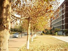 -山东外贸职业学院