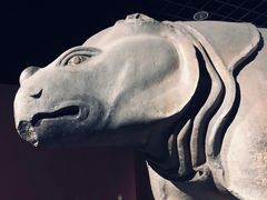 -西安碑林博物馆