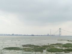 -海鸥岛