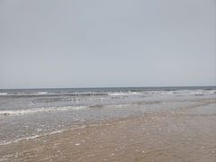 -日照海滨国家森林公园