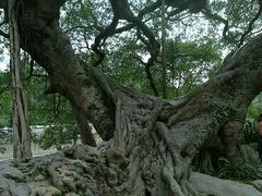 -小洲村