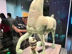 -广西壮族自治区博物馆