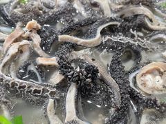 -攀枝花·任德琼·盐边羊肉米线