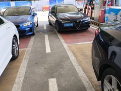 -中国石油加油站(严桥路站)