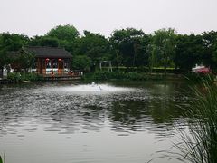 -鹅湖玫瑰文化园