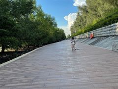 -宝安西湾红树林湿地公园