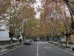 -四川农业大学(雅安校区)