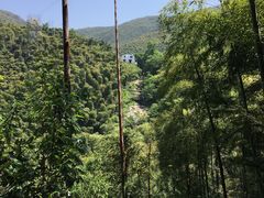 -山沟沟景区