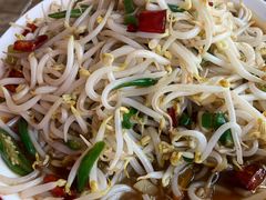 -三中高皇羊肉馆
