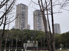 -重庆市江北嘴中央商务区中央公园