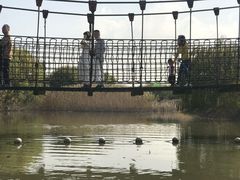 -吴淞炮台湾湿地森林公园烧烤区