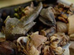 -大笮风(体育馆总店)