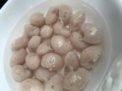 -章记正宗南岗鱼蛋火锅