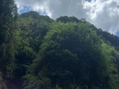 -阿依河景区