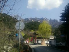 -王顺山国家森林公园
