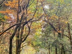 -杭州半山国家森林公园