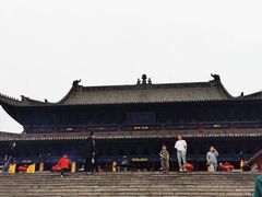 -大槐树寻根祭祖园