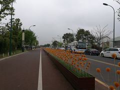 -新木器时代餐厅(太湖新天地店)